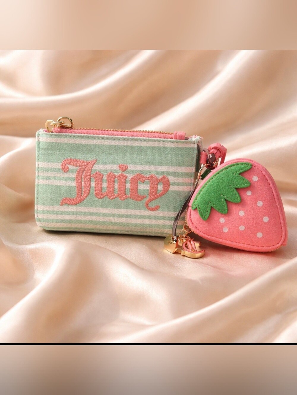 Juicy Couture Striped Coin Pouch in Mint & Pink